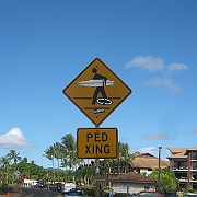 Picture 000001